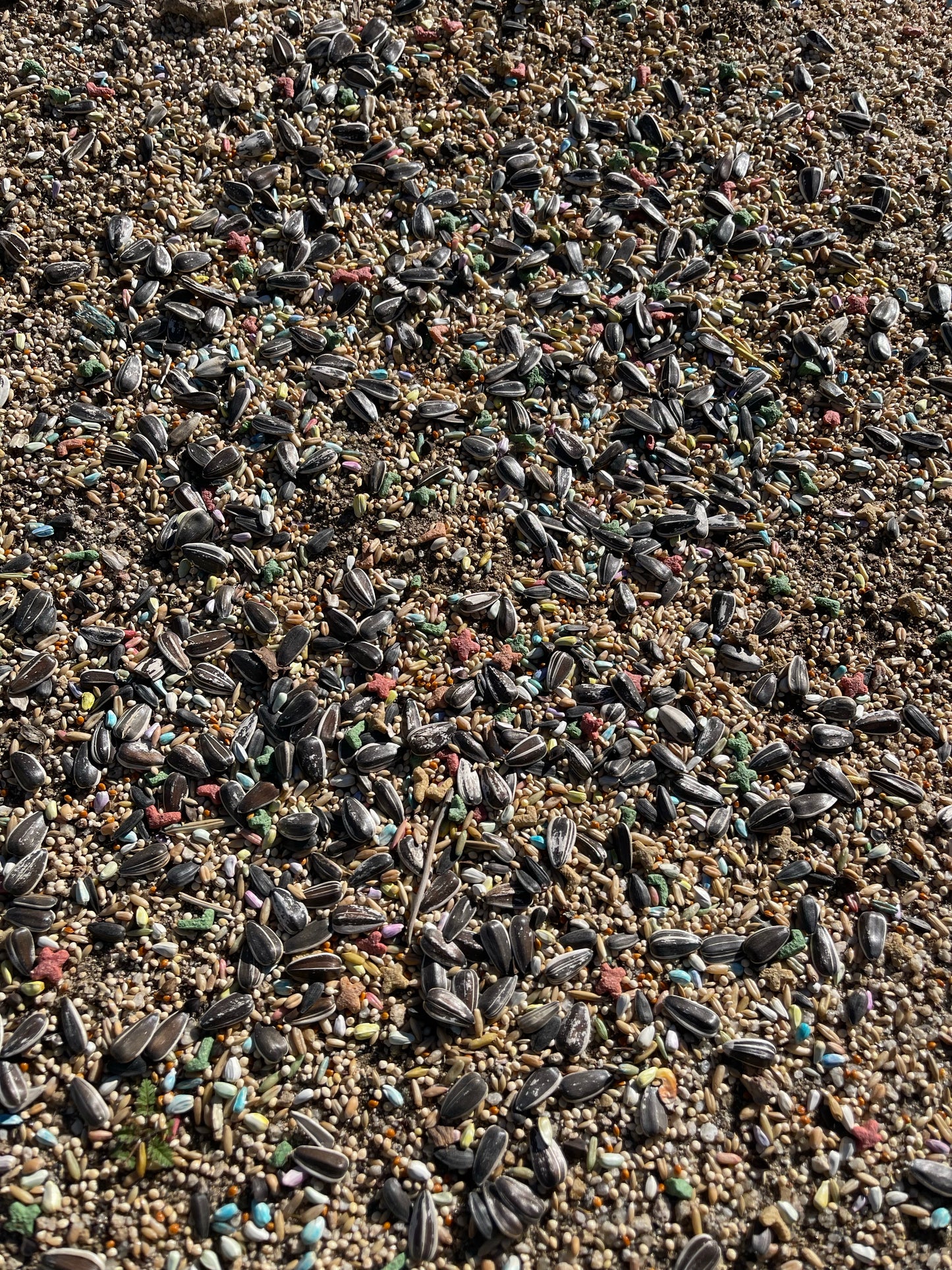 Pastel Purple Bows and Hearts Set